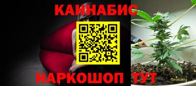 jwh Моздок