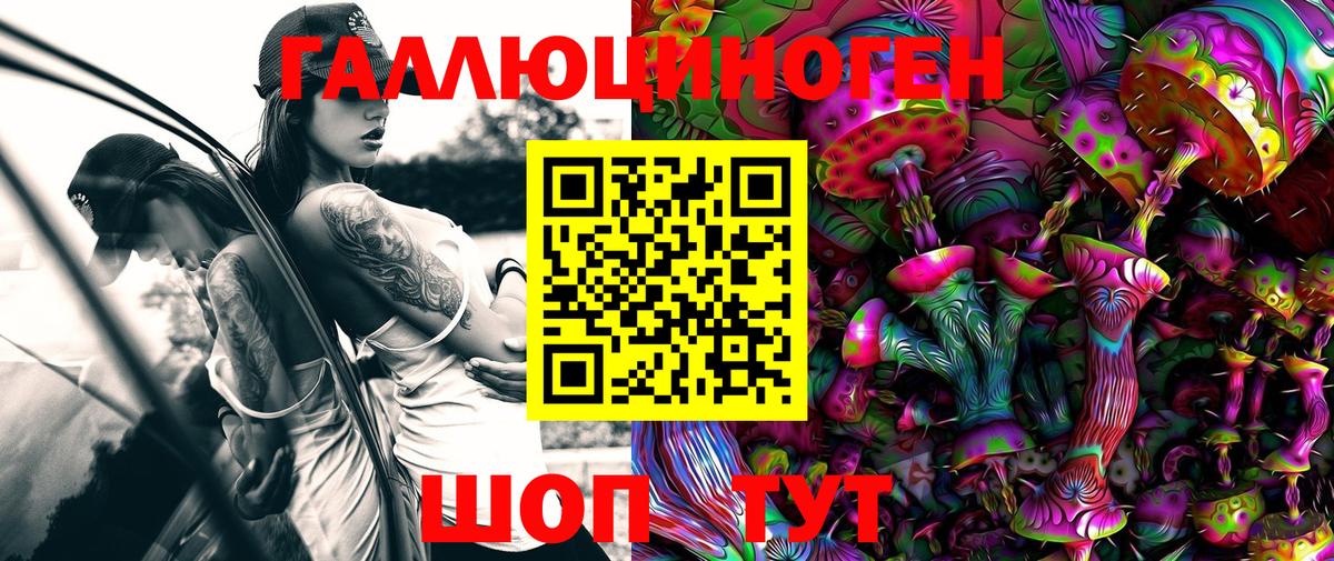 Псилоцибиновые грибы Cubensis Чебоксары